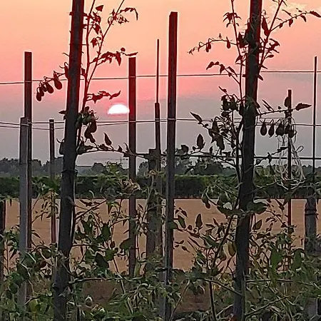 Al Vecio Morer 3* San Donà di Piave