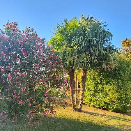 Al Vecio Morer Bed & Breakfast