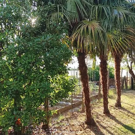 Al Vecio Morer Bed & Breakfast 3*