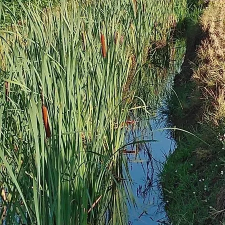 ベッド・アンド・ブレックファスト Al Vecio Morer サン・ドナ・ディ・ピアーヴェ