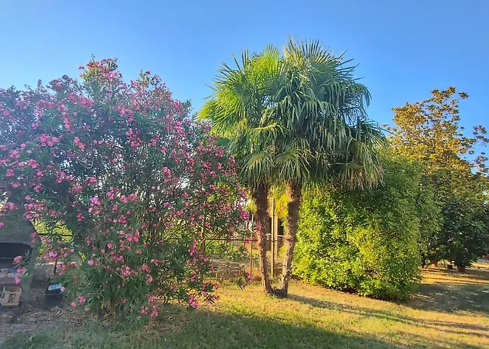 Al Vecio Morer Bed & Breakfast