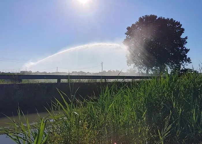 Al Vecio Morer Bed & Breakfast San Donà di Piave