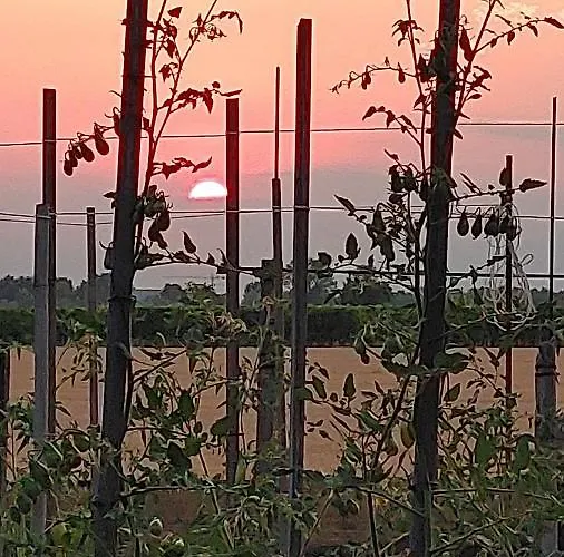 Al Vecio Morer 3* San Donà di Piave